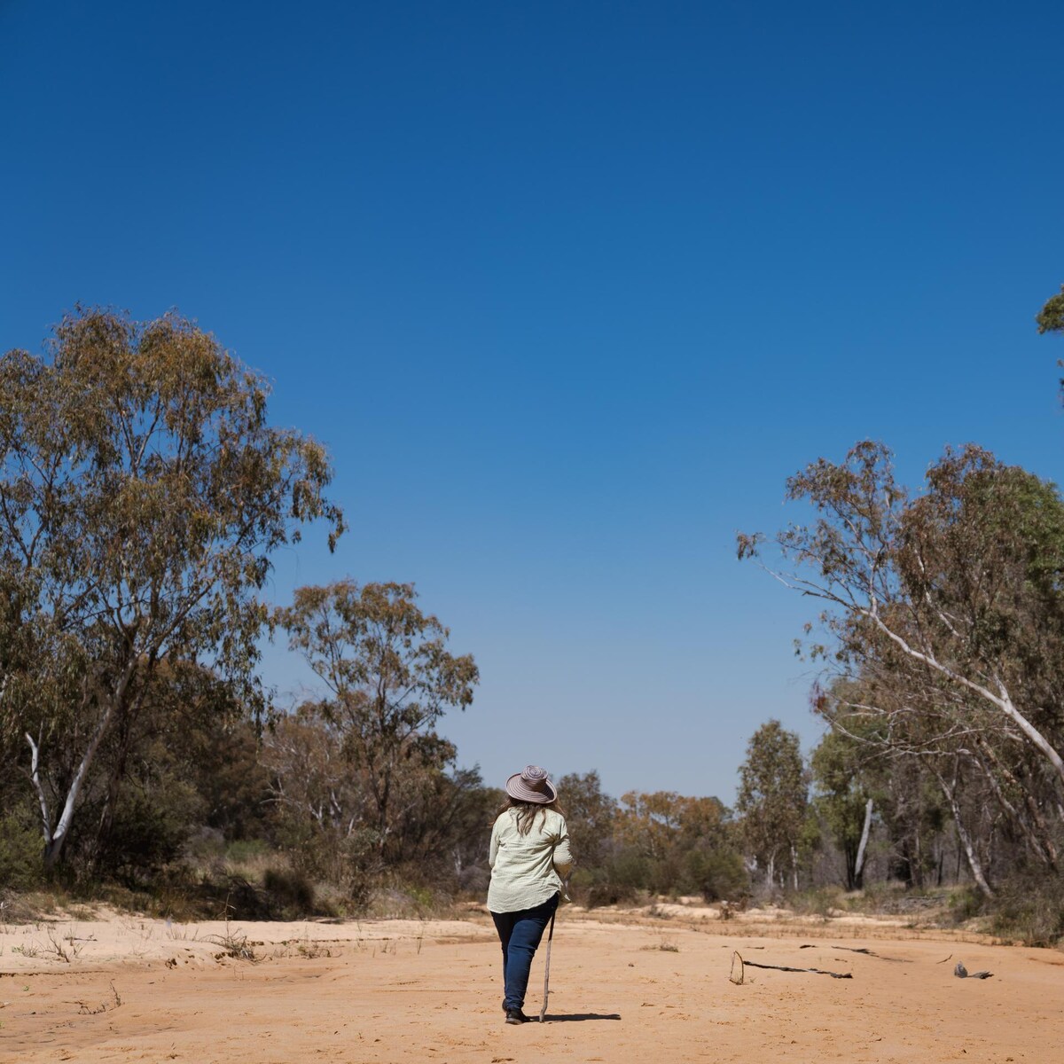 Save the Pilliga