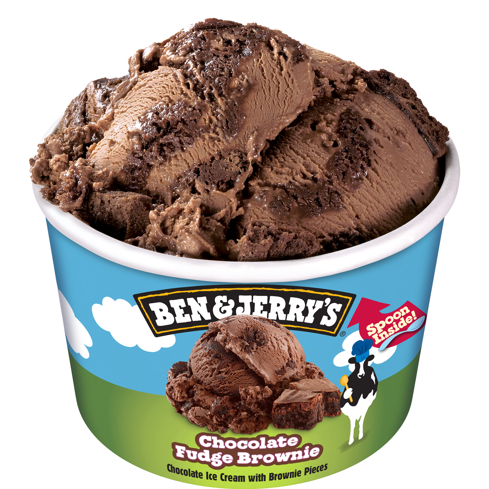 Chocolate Fudge Brownie Ice Cream - Mini Cup