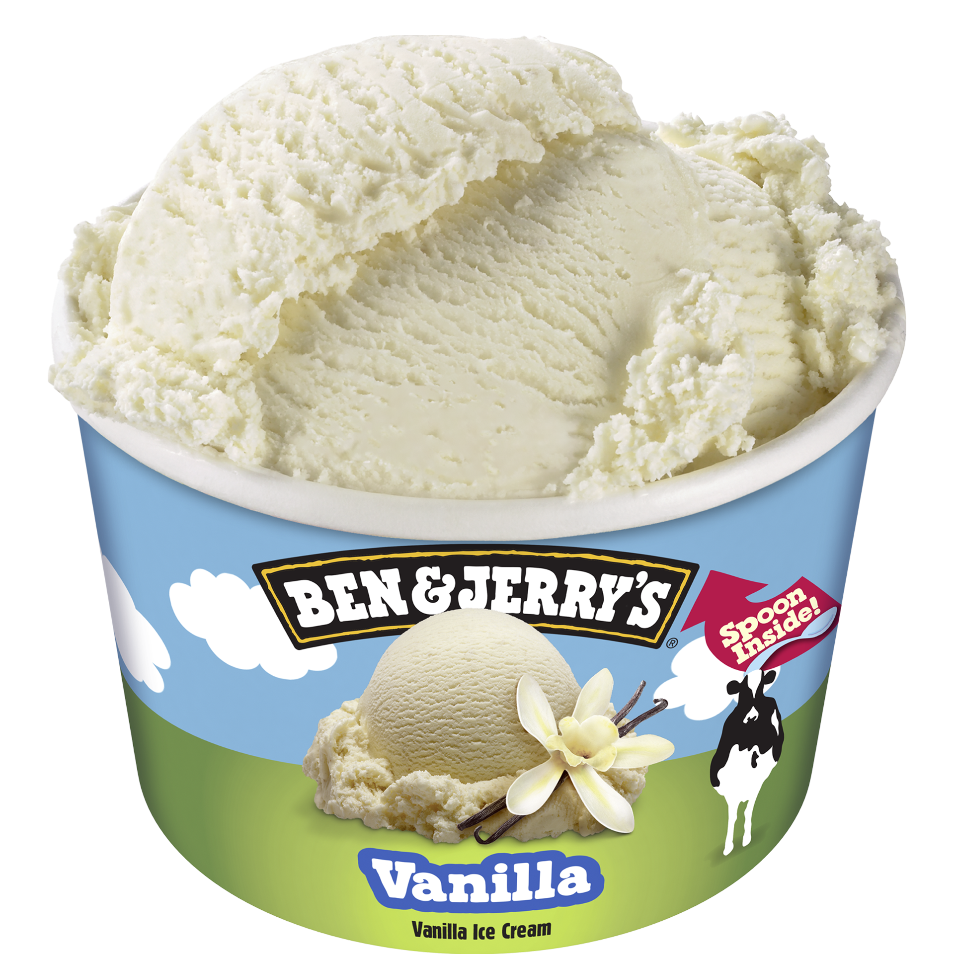 Vanilla Original Ice Cream Mini Cups